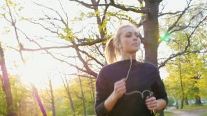 Парк ЖК елки