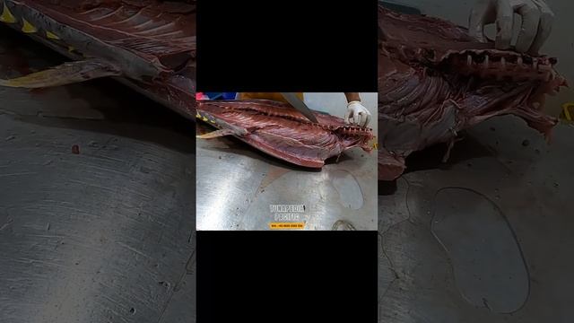 Unimaginable cutting a big tuna fish from Aceh Indonesia смотреть онлайн