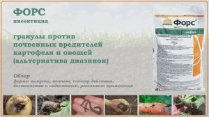 Форс - гранулы для борьбы с проволочником, хрущом, морковной, луковой и капустной мухой. Обзор