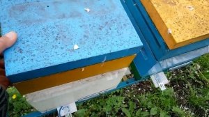 Пример работы многофункционального леткового заградителя