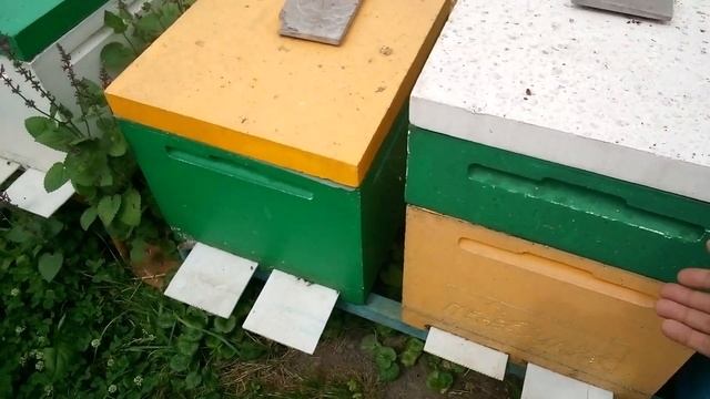 матковыводной сезон закрыт смотреть онлайн