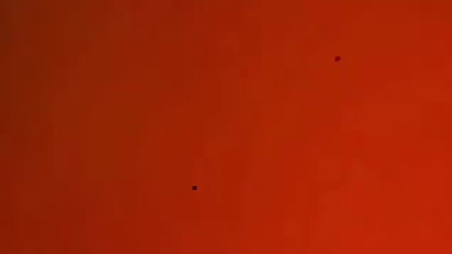 Sylvia A.R Gurney México 2017 смотреть онлайн