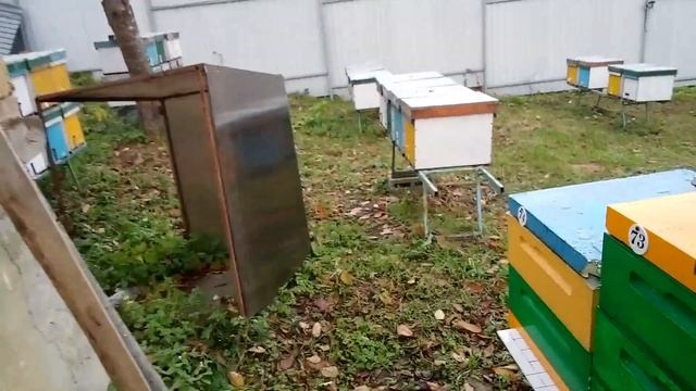 не много о клеще смотреть онлайн