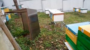 не много о клеще