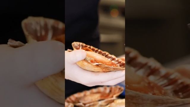 How to shell your Scallops well! #shorts смотреть онлайн
