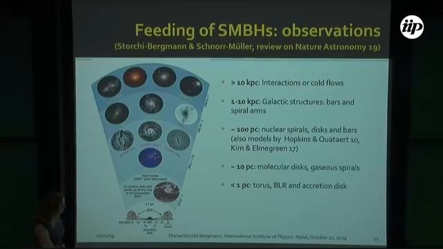 COLLOQUIUM: Prof. Thaisa Storchi Bergmann смотреть онлайн