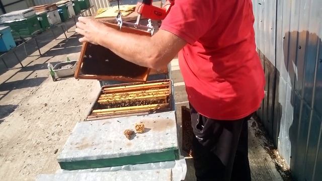 Рамкотряс смотреть онлайн