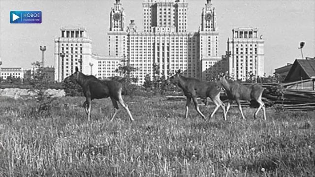 ДНЕВНИК ИСТОРИИ №379