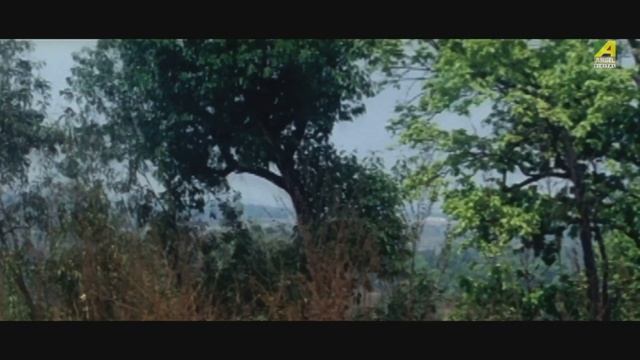 Teen Tanaya | তিন তনয়া | Bengali Mini Movie | Saheb, Rupanjana Mitra смотреть онлайн