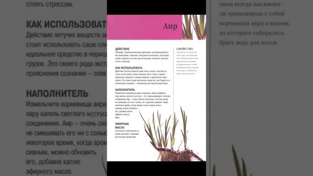 Что записать в травник? 2 часть🌼 смотреть онлайн