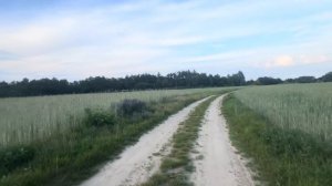 Польские села. Как живут люди в польской деревне? Будете удивлены. Polska wieś.