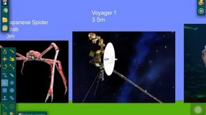 Best Universe Size Comparison 2021 Part 3:2mm To 5Km