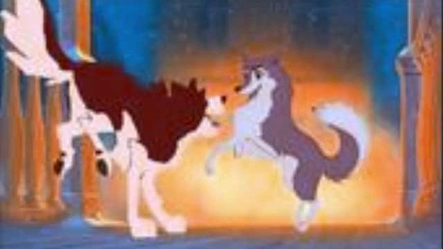 The Story of Dusty and Dingo смотреть онлайн