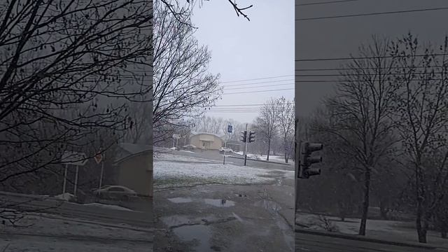 Привет из солнечной Адыгеи! 🌈🌞🤣🥰👍🌞☀ смотреть онлайн