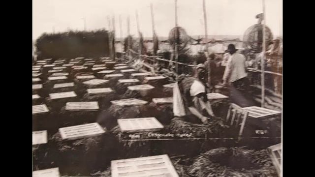 Костромской вояж. Часть 6. Галич. Местный колорит.