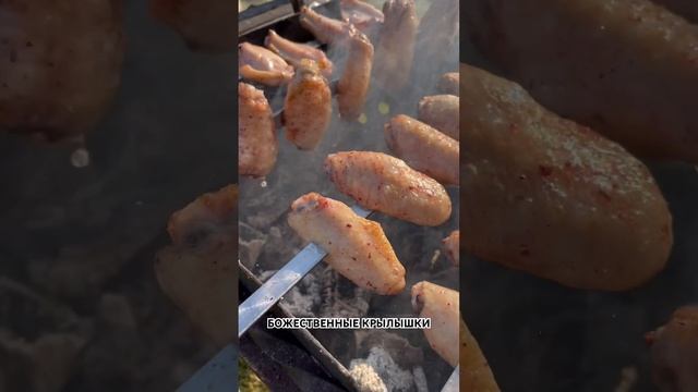 ШАШЛЫК ИЗ КРЫЛЫШЕК На Углях ! СЕКРЕТНЫЙ Рецепт !!! смотреть онлайн