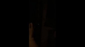 СБОРНИК ВИДЕО ПРО СОБАКУ ЛЕЛЮ ИЗ ТИК ТОКА!!приятного всем просмотра)