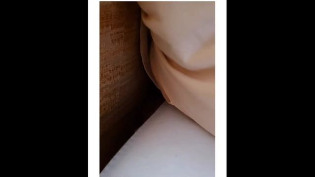 🐾 FUNNY CATS 2022 & OTHER ANIMALS/ FUNNY ANIMALS 2022/BEST CAT FUNNY смотреть онлайн