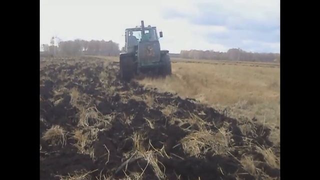 Уборка пшеницы - результаты 2-й недели. Что делать с викой? смотреть онлайн