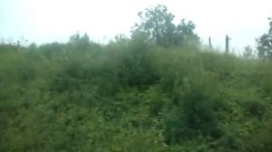 Прибытие на станцию Коноша