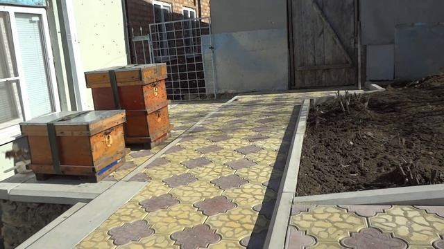 зимовка пчел в сарае удачный эксперимент смотреть онлайн