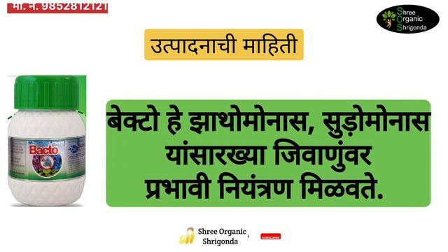 तेल्या रोगावर उपाय | Alkmin 60 + Bacto | telya rog control | scient chemical | #organic #agricultur смотреть онлайн