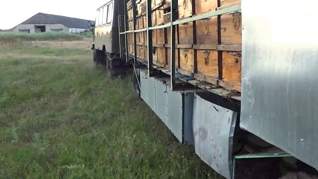 бороды из пчел смотреть онлайн