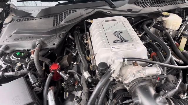 Gen 3 coyote predator blower swap смотреть онлайн