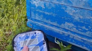 весы гарант для пчеловодства на 300кг