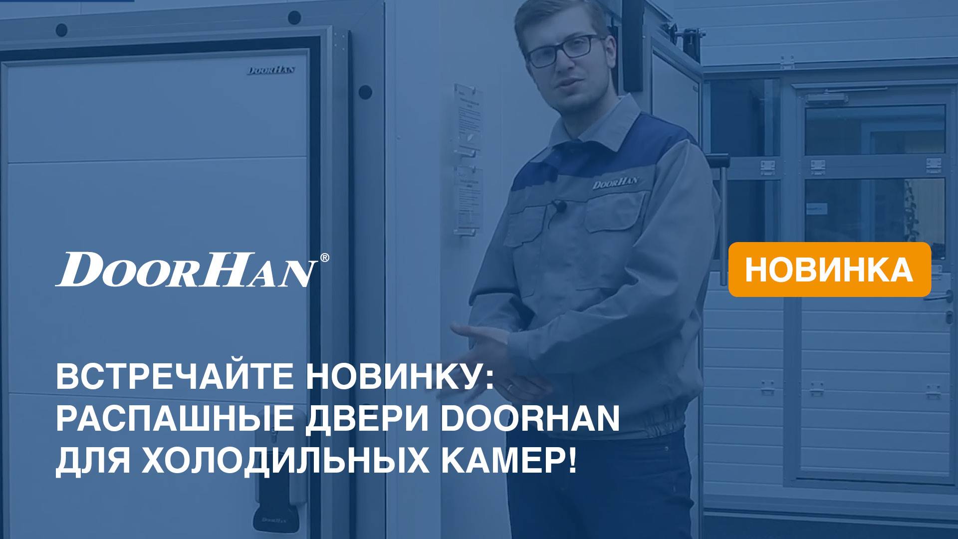 Дверь промышленная распашная для охлаждаемых помещений серии IDH1-1 смотреть онлайн