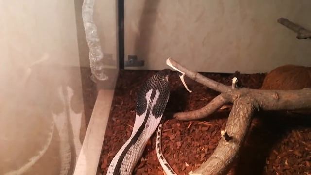 20 мая 2018 г. смотреть онлайн