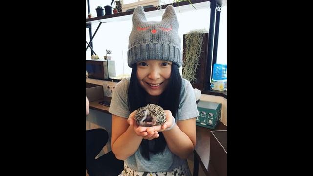 Это смешно) но в Токио открыли кафе ежовое ) интересно) правда тогда смотри смотреть онлайн