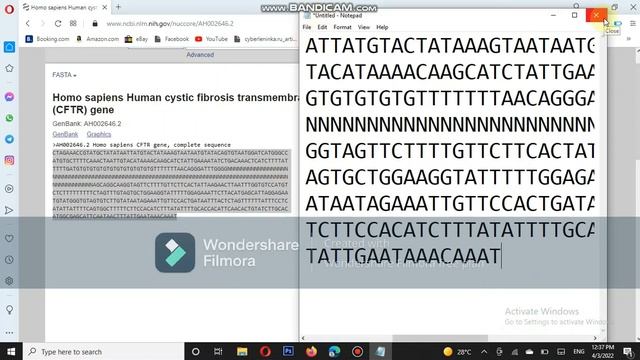 How to use NCBI's bioinformatics Tools and Databases and how to download gene/protein seq in FASTA смотреть онлайн