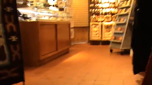 Quebec. Необычный магазин с медведями и яками смотреть онлайн
