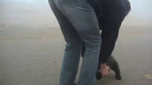 медведь напал на человека.