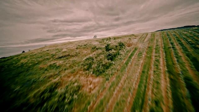 FPV Sigma fp + Laowa 9mm 5.6 + Siccario X8 6S 25fps 50/sec f=8 смотреть онлайн