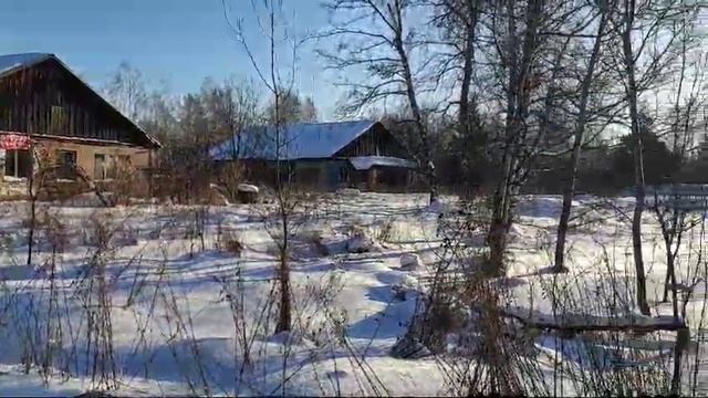 WhatsApp Video 2025-01-14 at 15.44.23 смотреть онлайн