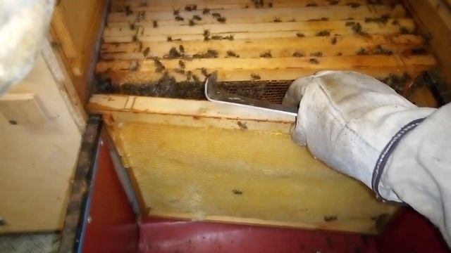 Весеннее развитие в павильоне смотреть онлайн