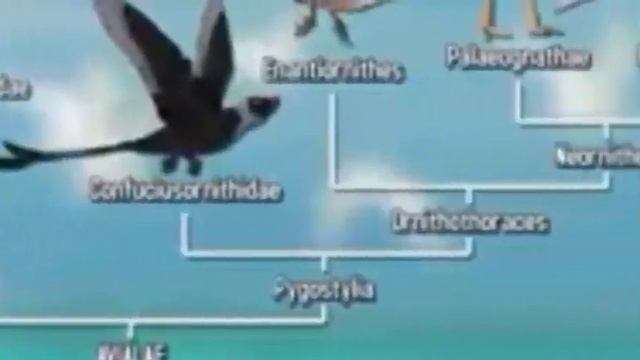 Las alas en los vertebrados. смотреть онлайн