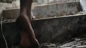 Hindi Zahra _ Silence