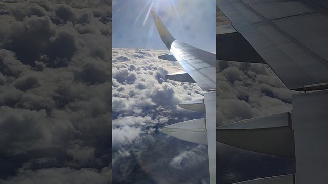 Taras Bazeev - Balloon