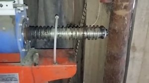 Из порченного зерна - отличный корм! #41 Технология экструдирования