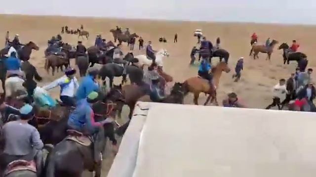 Кокпар кокбору