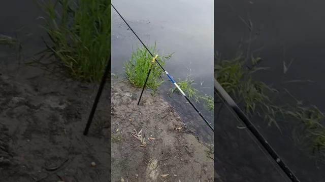 рыбалка на Днестре 22.06.2021 смотреть онлайн