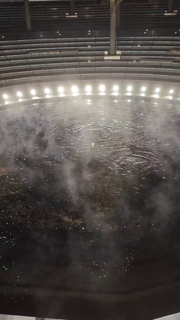 парк Галицкого Краснодар обогрев у рыбок Кои на открытом воздухе смотреть онлайн