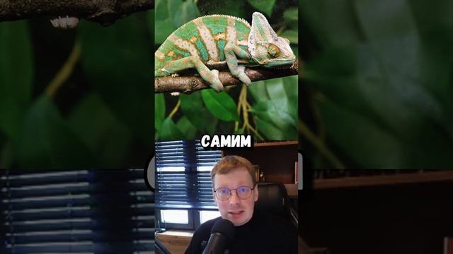 Каким должен быть феминостратег смотреть онлайн