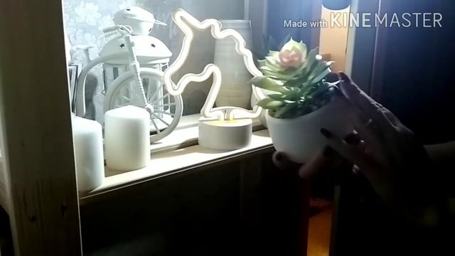 ПРИМЕНЕНИЕ ФИКС ПРАЙС В ДЕКОРЕ🌈/Miss Cherry🍒 смотреть онлайн