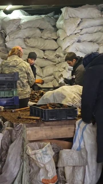 Трудовые будни на производстве #чага35