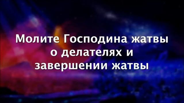 Молите Господина жатвы о делателях и завершении жатвы А Ледяев смотреть онлайн