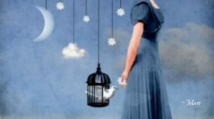 Jason Mraz ~ Bella Luna